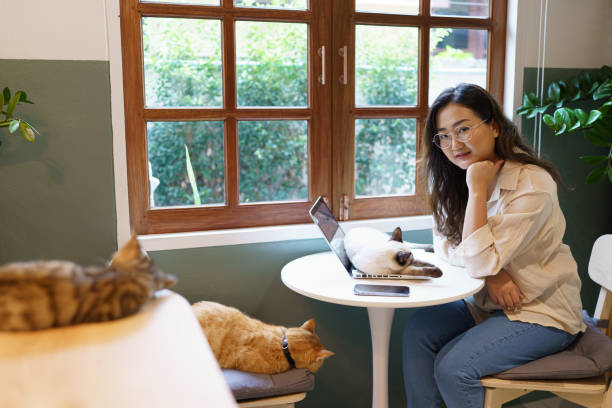 женщина, работающая из дома с кошкой. кошка спит на клавиатуре ноутбука. помощник кота, работающий на ноутбуке - domestic cat computer laptop kitten стоковые фото и изображения