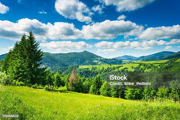 Meadow In Mountains Stock Photo - Download Image Now - Agricultural Field, Color Image, Day