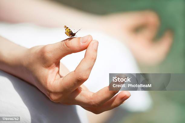 Meditation Stock Photo - Download Image Now - Butterfly - Insect, Meditating, Mindfulness