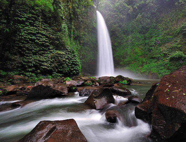 istock Waterfall in the Jungle of Bali 176446794