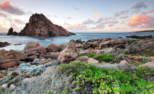 Summer Sunset in Sugarloaf Rock, Cape Naturaliste, Western Australia. Pink and blue sky with plants and grass on a foreground. Triangle-shaped Sugarloaf Rock rises dramatically up out of the ocean along the coast between Yallingup and Cape Naturaliste.  