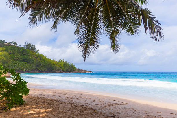 istock Anse Intendance Beach view. Landscape with palm tree. Mahe island, Seychelles 1764478421