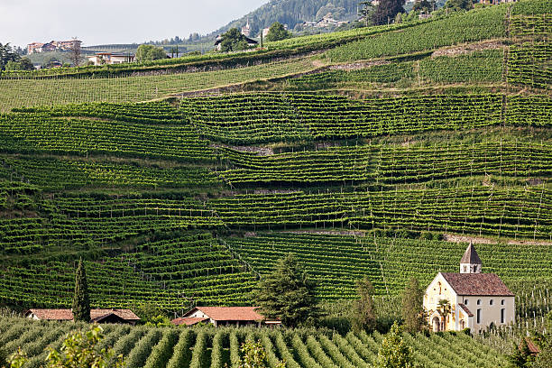 istock Chapel in the vineyards 176448131