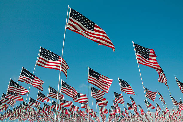istock Field of American Flags 176448134