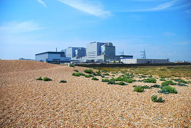 There are two nuclear power stations at Dungeness, the first built in 1965 and the second in 1983. They are within a wildlife sanctuary deemed a Site of Special Scientific Interest and birds flourish in the warmer water created by the station's outflow.