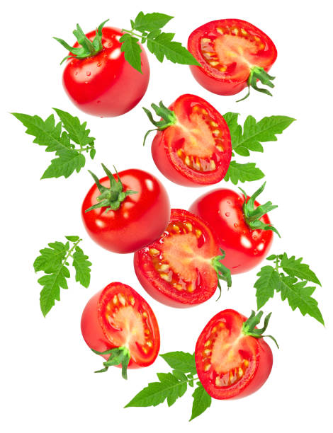 istock flying fresh tomatoes with green leaves isolated on white background. clipping path 1764546425