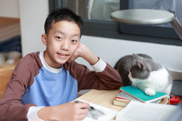 istock Boy drawing with cat at home 1764555341
