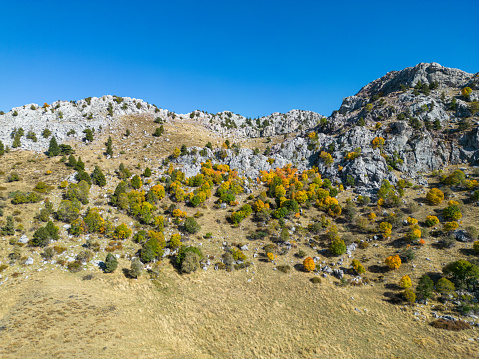 Aerial drone view, high altitudes, open air. Extreme mountainous region. Season is autumn. Yellowing meadows. Yellowing trees.