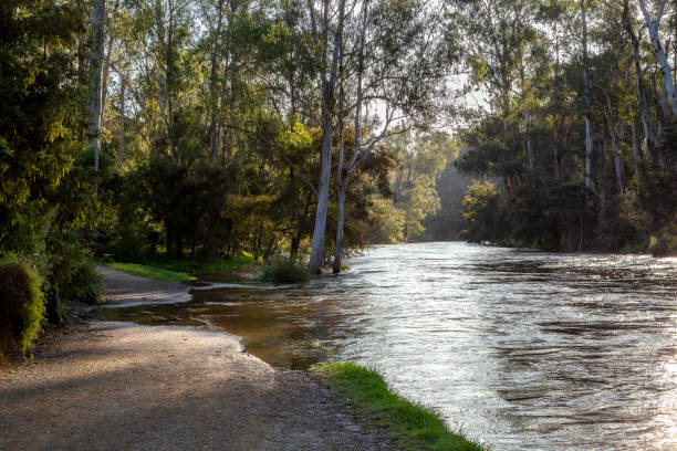 istock Partially flooded path beside the Yarra River forest at Warrandyte River Reserve. 1764591720