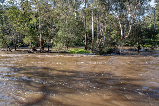 istock Yarra River submerging the island at Warrandyte River Reserve 1764593521