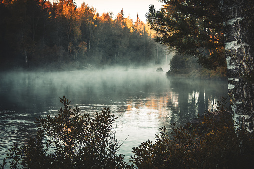Misty river at sunrise in autumn