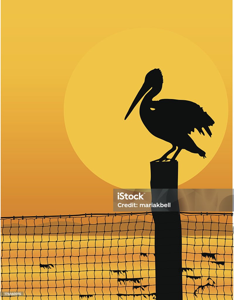 Pelican coucher du soleil - clipart vectoriel de Pélican libre de droits