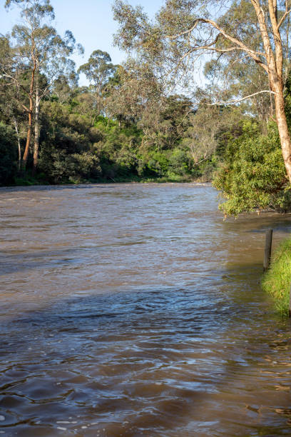 istock The Yarra River breaks its banks and covers the path at Warrandyte River Reserve 1764600493