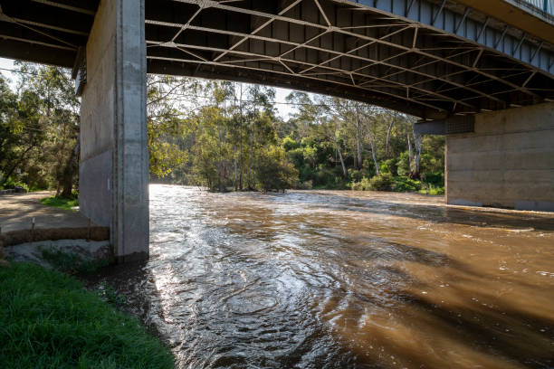 The Yarra River breaking its banks under the bridge at Warrandyte River Reserve