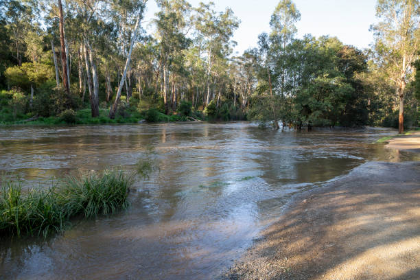 istock The Yarra River breaks its banks and partially covers the riverside path at Warrandyte River Reserve 1764603527