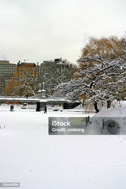 ボストンの冬 - アスファルトのストックフォトや画像を多数ご用意 - アスファルト, アメリカ合衆国, ジョージア調