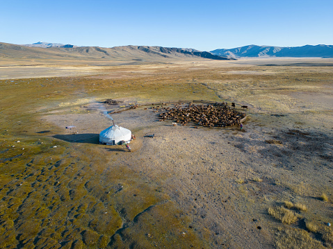 Elevated aerial drone view of a remotely located nomadic herder summer grazing camp, in Khuites Valley, in the Altai Mountains of Western Mongolia. The Kazakh province is home to nomadic herders and eagle hunters, who spend the summer months living in gers and grazing their livestock in the area, before migrating to a winter camp in the mountainous region.