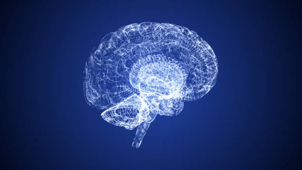 istock Human brain futuristic science and technology background 1764639352