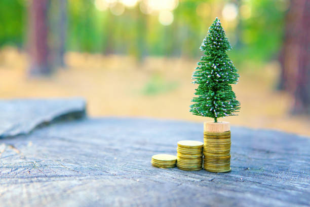 istock Miniature Christmas Tree on a Coin Stack in the Woods 1764652764