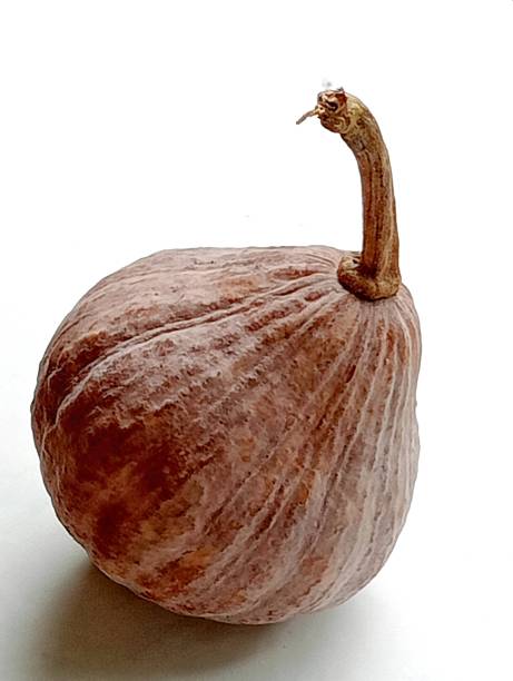 istock SHOTLIST health pumpkin. 1764659366