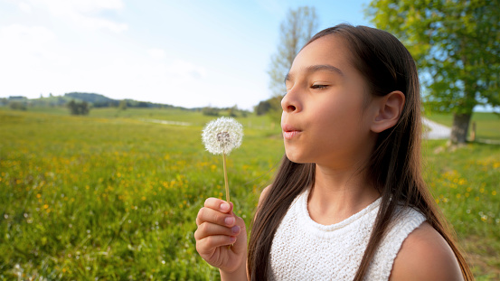 Side view of girl blowing dandelion seeds in meadow.