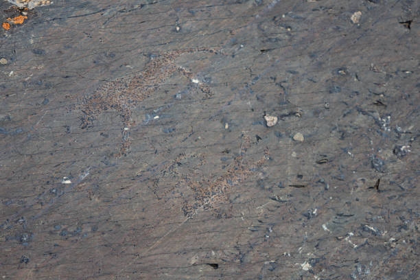 Petroglyphic rock art of Aral Tolgoi, in the Bayan-Ulgii region of the Altai Mountains in Western Mongolia. Dating back as far as 11,000 years, the unique images are found in a remote mountain valley, giving a glimpse into the past and showing some of the earliest art work of humans who lived in the area thousands of years ago.
