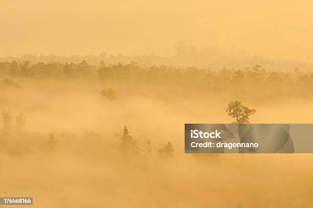 Bare Tree In A Fog Covered Stock Photo - Download Image Now - Boredom, Branch - Plant Part, Clear Sky