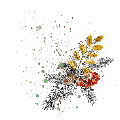 Vector illustration, hand-drawing Christmas composition. Winter plants, berries, pine cones, twigs. Festive New Year composition.