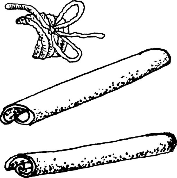 illustrations, cliparts, dessins animés et icônes de bâtons de cannelle transparents en verre dessinés à la main attachés dans une illustration vectorielle de bouquet élément décoratif - anise seed fennel backgrounds