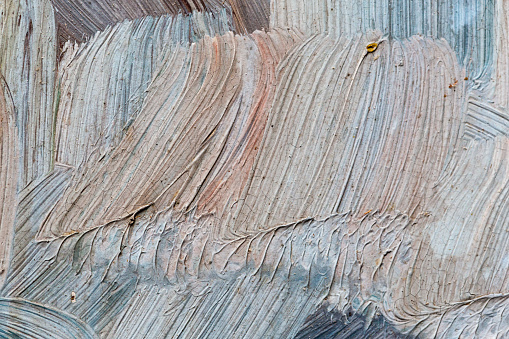 Layers of rock caught as close up view. Sedimentary rock known as flysch with abundant occurrence in the alps. It is suitable as background.