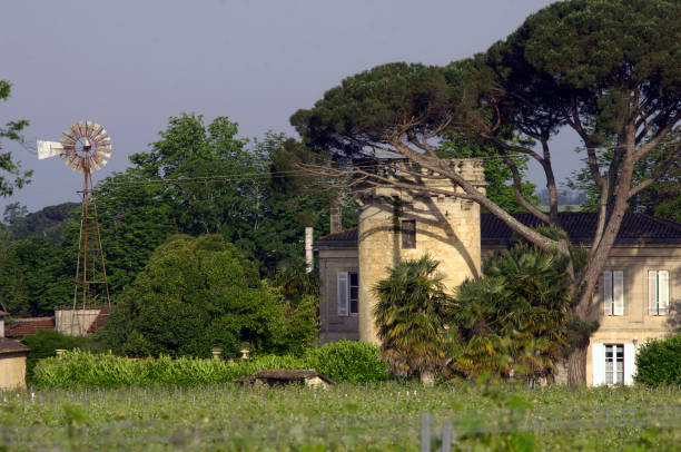 the dovecote and the wind turbine