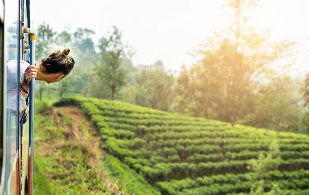jeune femme profitant d’un trajet en train d’ella à kandy parmi les plantations de thé dans les hauts plateaux du sri lanka - ella sri lanka photos et images de collection