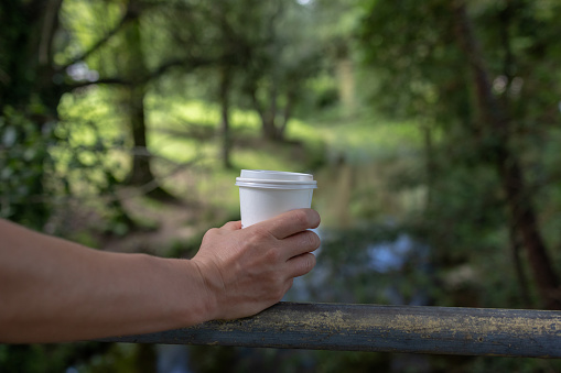 In the embrace of nature's tranquility, a woman's hand elegantly holds a cardboard coffee cup, ready to savor the hot beverage within. A symbol of relaxation and a touch of eco-consciousness amid the green wilderness.