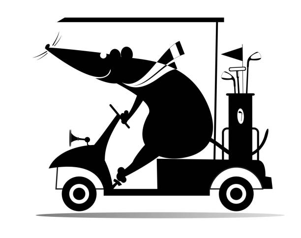 Cute rat or mouse rides the golf cart Cartoon rat or mouse is going to play golf in the golf cart. Black and white illustration opossum silhouette stock illustrations