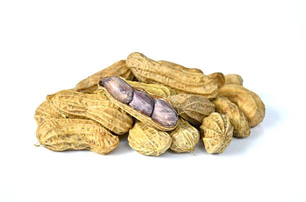 gekochte erdnuss auf weißem hintergrund - peanut legume textured effect fat stock-fotos und bilder