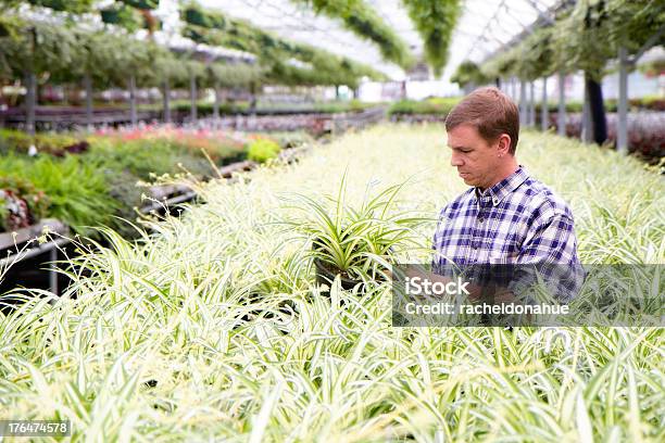 그린하우스 업주 Inspects 그릐 자르기 꽃-식물에 대한 스톡 사진 및 기타 이미지 - 꽃-식물, 남자들만, 농업