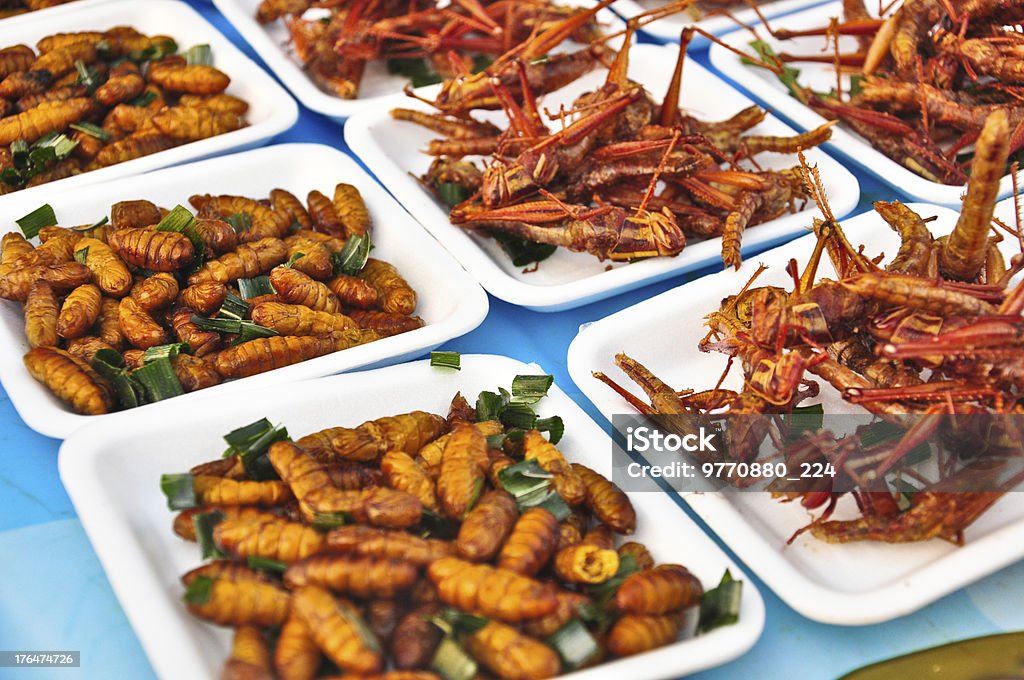 Besondere food, gebratenes grasshoppers in thailand, Nahaufnahme - Lizenzfrei Insekt Stock-Foto