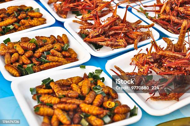 特別料理揚げたところかタイでのクローズアップ - 昆虫のストックフォトや画像を多数ご用意 - 昆虫, タイ料理, 食べ物