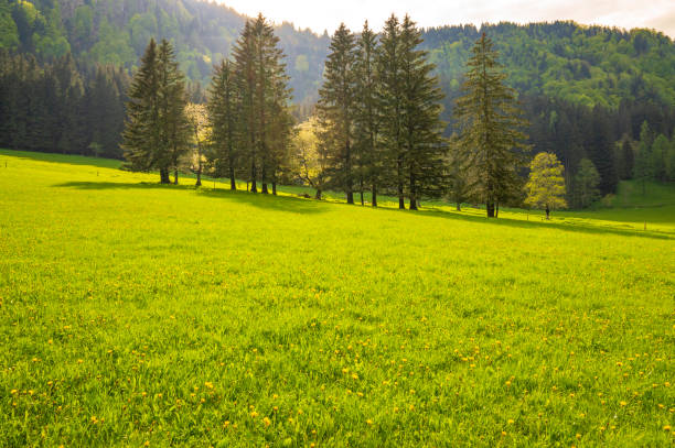 Zgornje Jezersko valley in Slovenia during a beautiful springtime day with the mountain range in the Kamnik–Savinja Alps.
