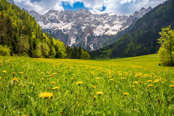 istock Zgornje Jezersko valley view during springtime 1764753555