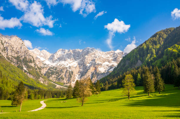 istock Path through the Zgornje Jezersko valley  during springtime 1764754223