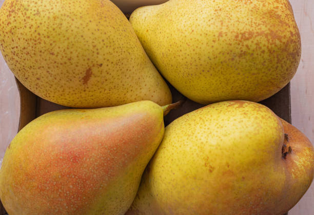 Fresh ripe pears.