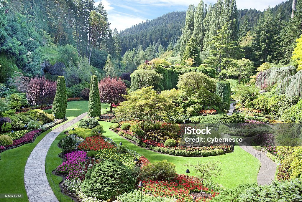 Lovely sunken garden at Butchart Gardens in British Columbia A view of the sunken garden at Butchart Gardens, Central Saanich, Vancouver Island, British Columbia, Canada Butchart Gardens Stock Photo