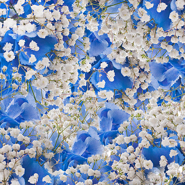 istock Flowers in a bouquet 176478345