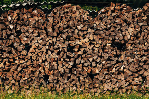istock Large stack of chopped firewood on farmland drying in summer 1764784241