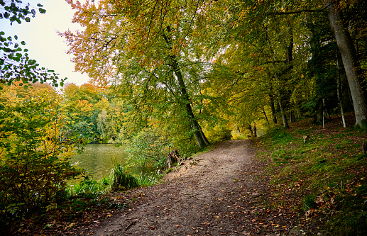 Path in idyllic autumn landscape.