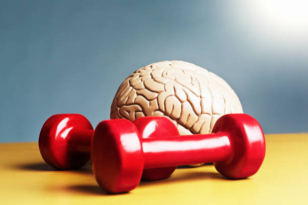 istock Healthy body, healthy mind! Brain with dumbbells 1764791118