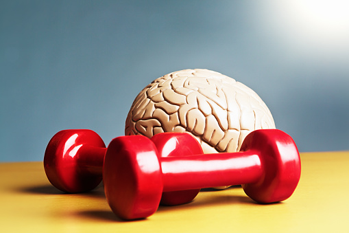 It's smart to exercise: brain with exercise weights represents the idea that it's intelligent to keep yourself in shape.