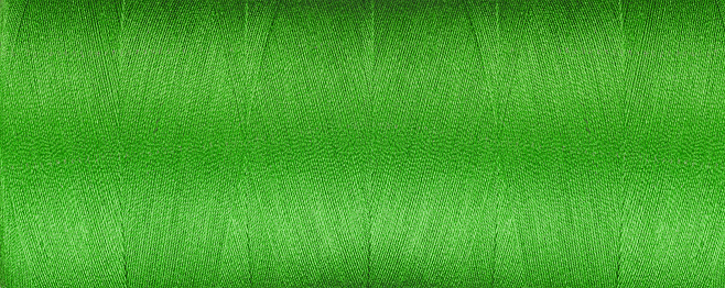 texture of thread for a sewing machine green color on a white background close-up