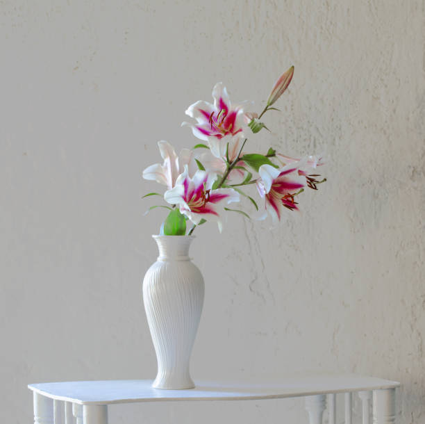 beautiful lilies in ceramic vase on background white wall